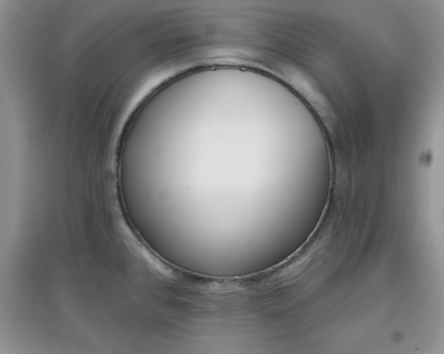 X0000097611384200803141929