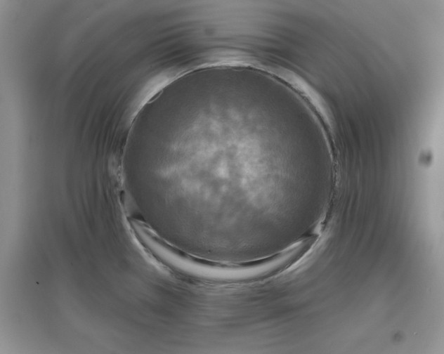 X0000097611385200803141929