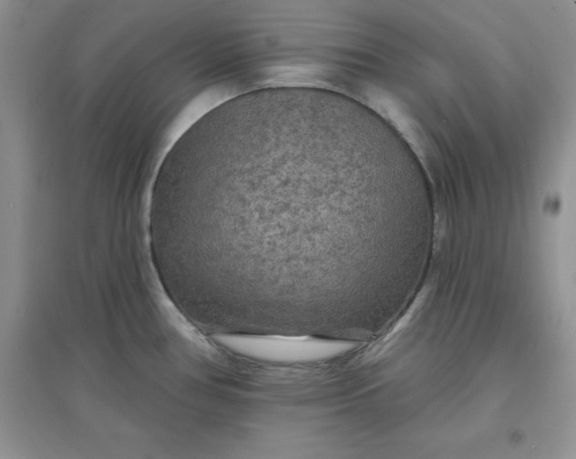 X0000097611386200803141929