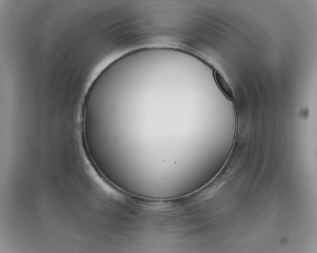 X0000097611387200803141929