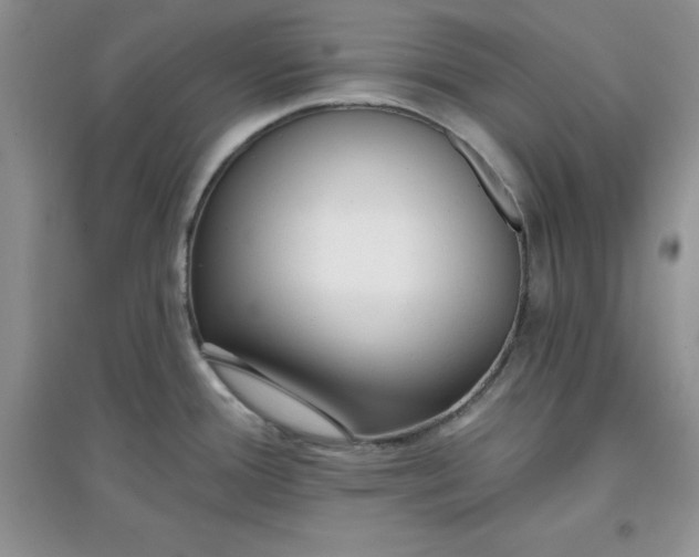 X0000097611388200803141929