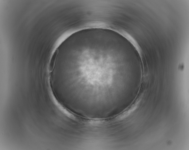 X0000097611389200803141929