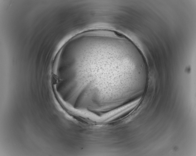 X0000097611390200803141929