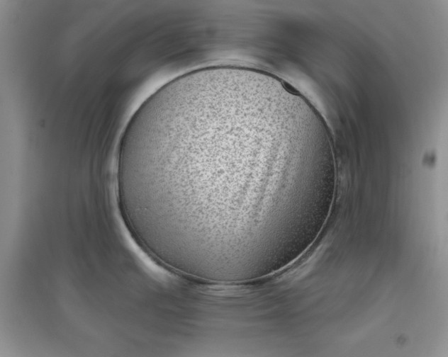 X0000097611391200803141929