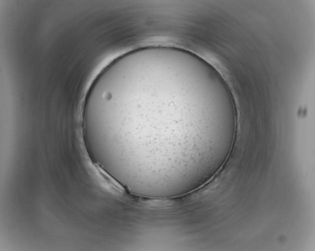 X0000097611392200803141929