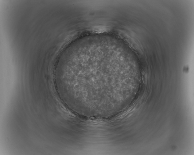 X0000097611393200803141929