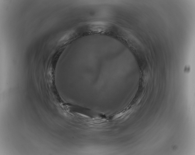 X0000097611394200803141929