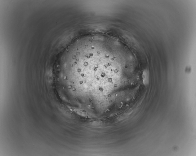 X0000097611395200803141929