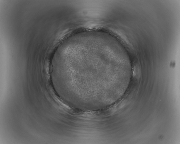 X0000097611396200803141929