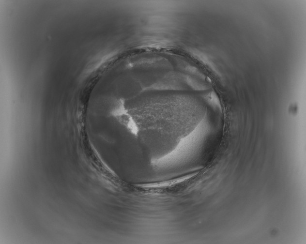 X0000097611399200803141929