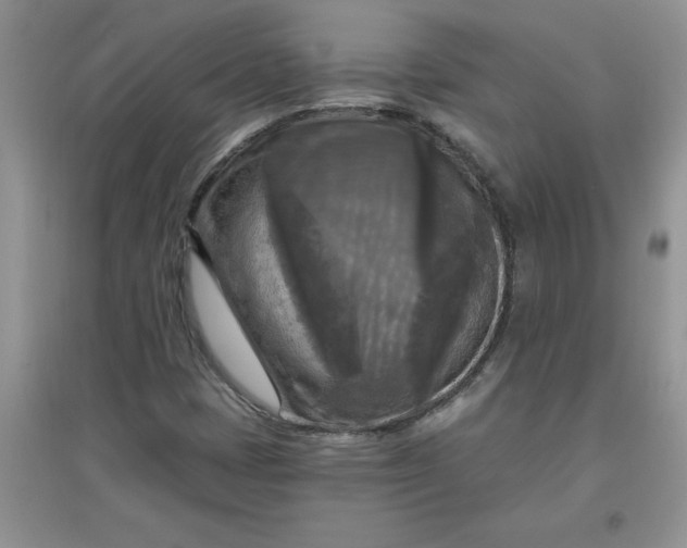 X0000097611401200803141929