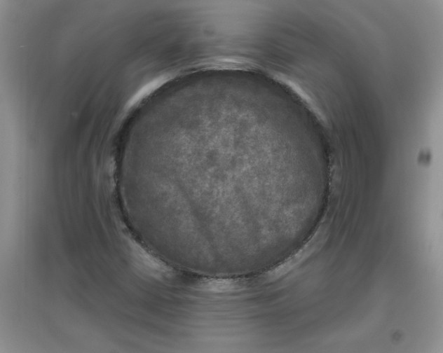 X0000097611402200803141929