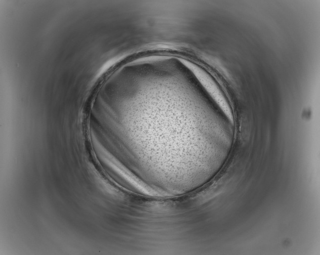 X0000097611404200803141929