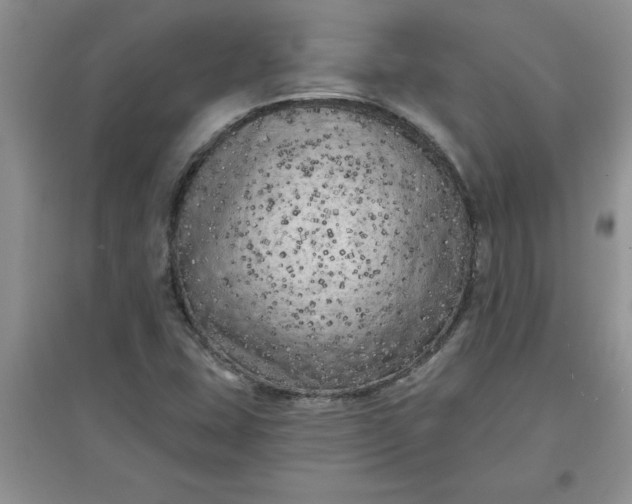 X0000097611407200803141929