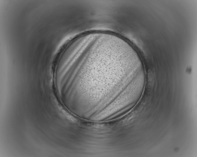 X0000097611408200803141929