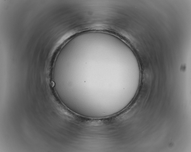 X0000097611410200803141929