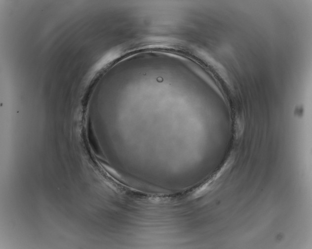 X0000097611411200803141929