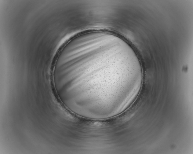 X0000097611412200803141929