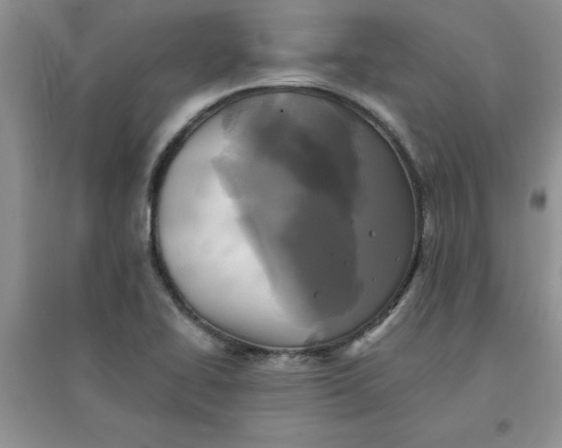 X0000097611414200803141929