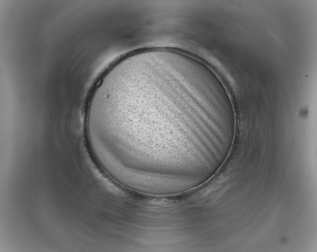 X0000097611416200803141929