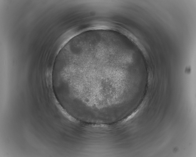 X0000097611417200803141929