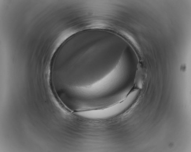 X0000097611418200803141929