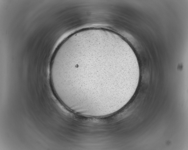 X0000097611420200803141929