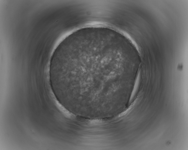 X0000097611421200803141929