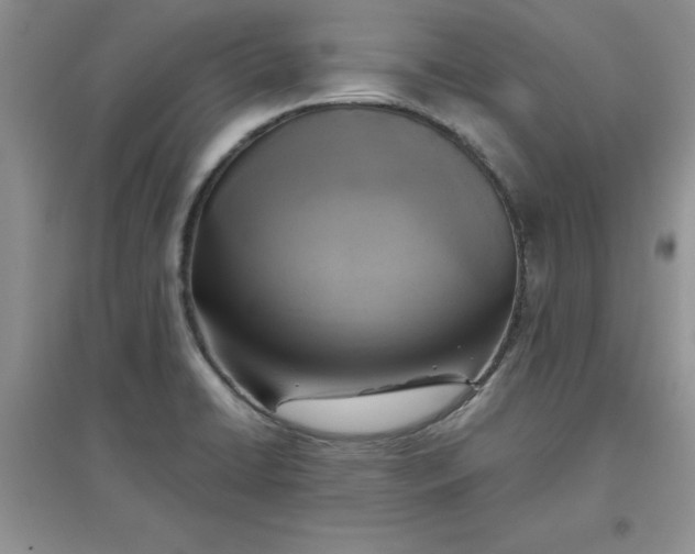 X0000097611422200803141929