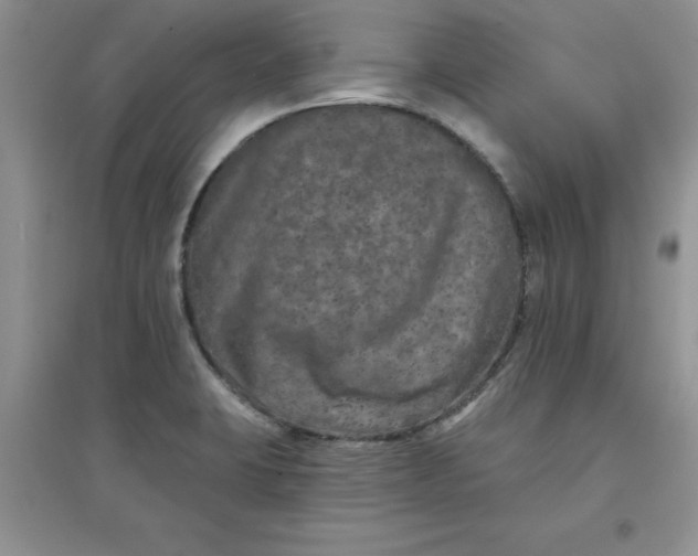 X0000097611423200803141929