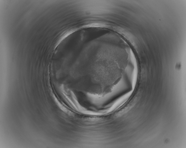 X0000097611425200803141929