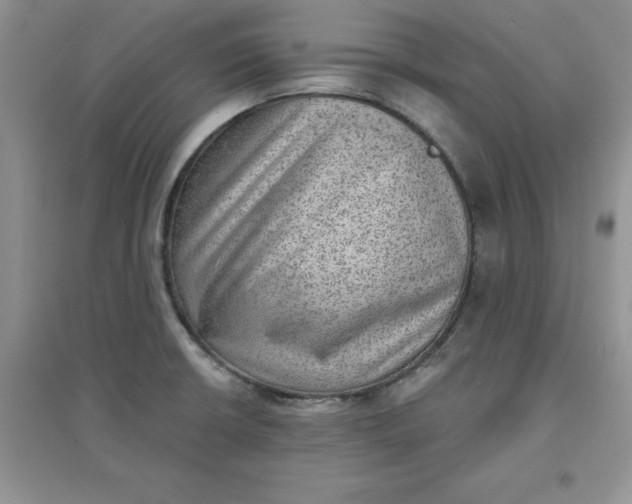 X0000097611426200803141929