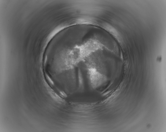 X0000097611427200803141929