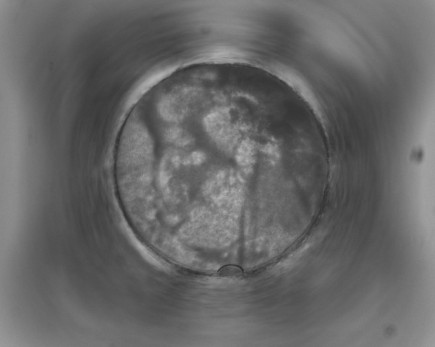 X0000097611429200803141929