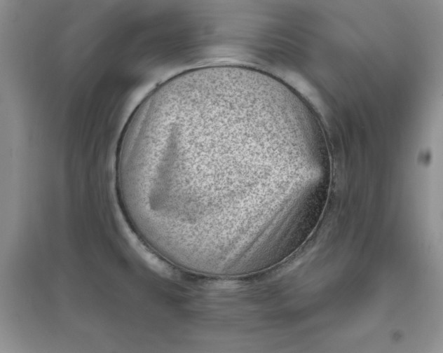 X0000097611431200803141929