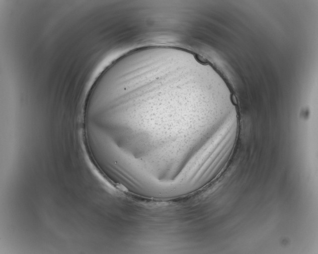 X0000097611432200803141929