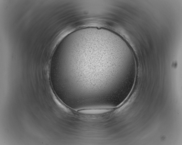 X0000097611433200803141929