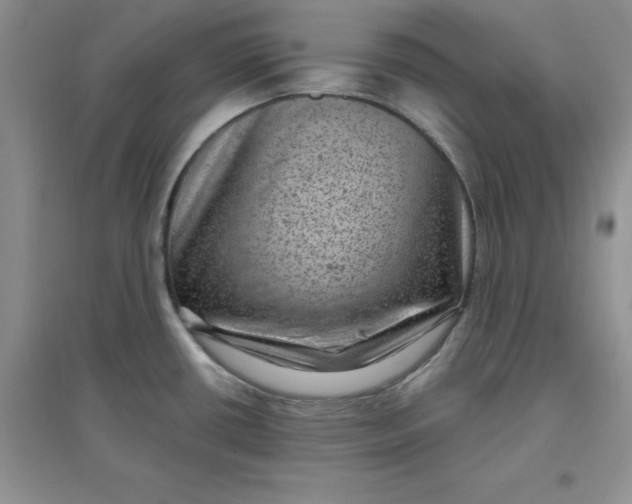 X0000097611434200803141929