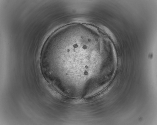 X0000097611435200803141929