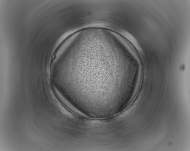 X0000097611436200803141929