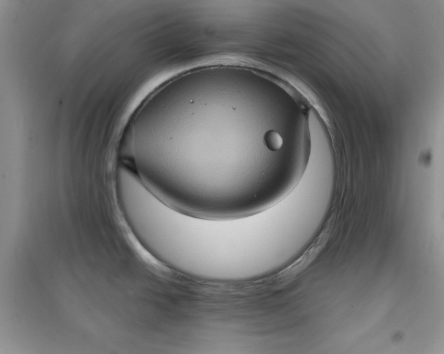 X0000097611438200803141929