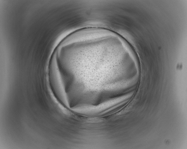 X0000097611440200803141929