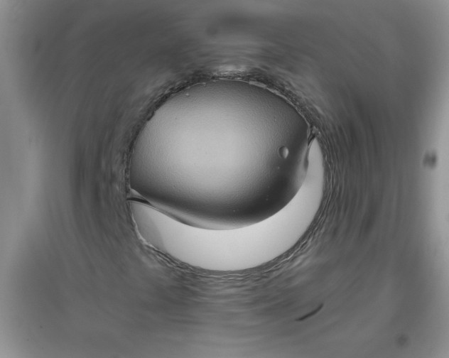 X0000097611441200803141929