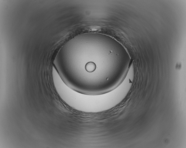 X0000097611442200803141929