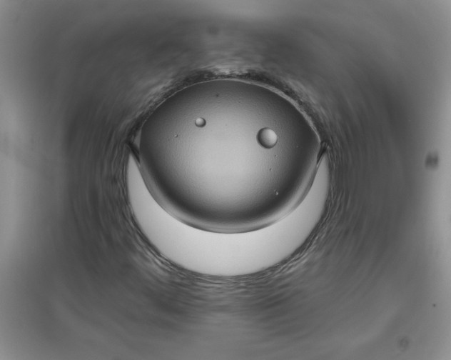 X0000097611444200803141929