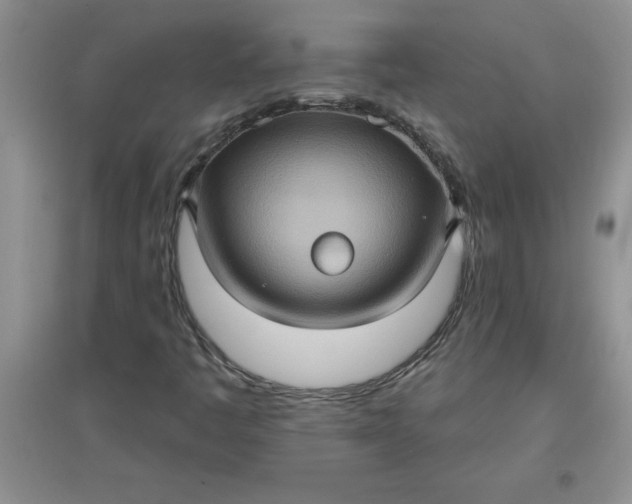 X0000097611445200803141929