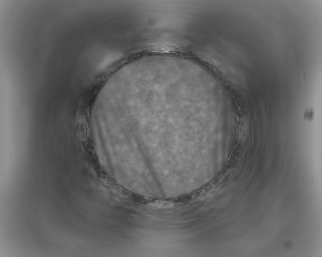 X0000097611446200803141929