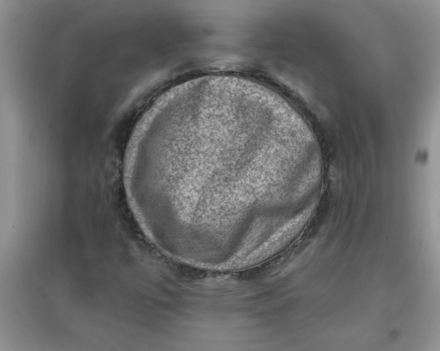 X0000097611447200803141928