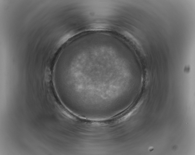 X0000097611449200803141928