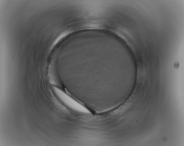 X0000097611450200803141928